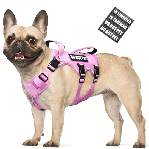 Escape Proof Dog Harness with Double Handle+4 Removable Patches (Medium / Pink)