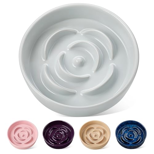 Slow Feeder Dog Bowl (M - 1.5 Cups / Grayish Cyan)