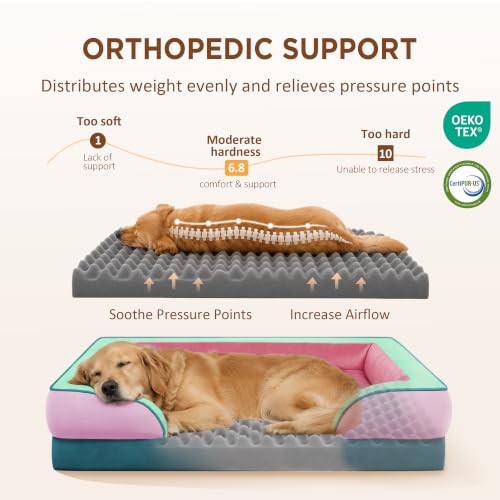 Orthopedic Dog Bed for Extra Large Dogs with Bolster (45.0"L x 35.0"W x 8.5"Th / Mint-Berry Dream)