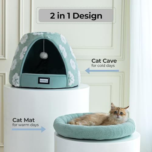Cat Beds for Indoor Cats (21"L x 21"W x 16"Th / Green)