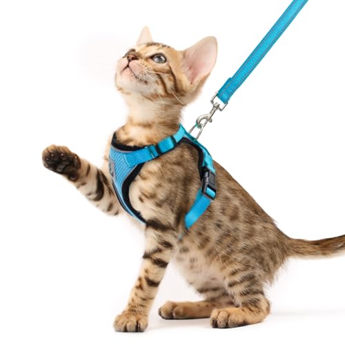Cat Harness and Leash Set Escape Proof Reflective Cat Walking Harness Adjustable Soft Breathable Mesh Vest for Small Pets (XS (NECK 8.5", CHEST 11"-14") / Blue)