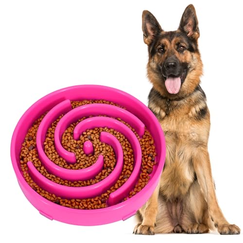 Slow Feeder Dog Bowl for Large Medium Dogs (Large / Hot pink)