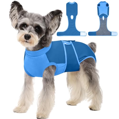 Dog Recovery Suit (Blue / X-Small)