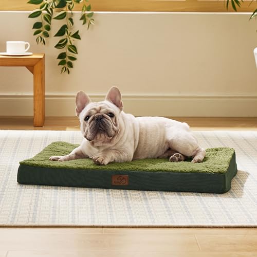 Washable Dog Bed Medium Size Dog with Comfy Sherpa (30"L x 20"W x 3"Th / Dark Green)