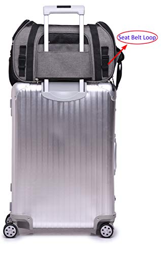 Soft Sided Pet Carrier for Cats & Small Dogs (21.0"L x 12.0"W x 13.0"H / Charcoal Gray)