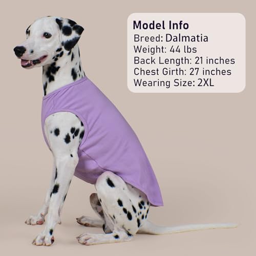 2Pack Cotton Dog Shirt for Small Dogs Soft Striped Tank Top (Small (4-7lbs) / 03# 2Pack (Purple+Purple Striped))