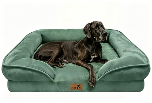 Orthopedic Dog Bed with Sides (53.0"L x 42.0"W x 8.0"Th / Green)