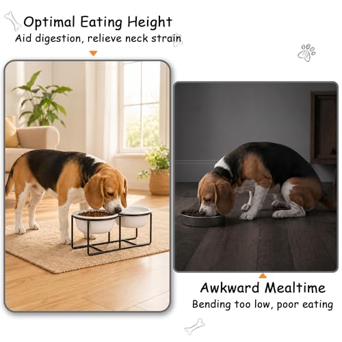 Ceramic Elevated Dog Bowl Set (Matte White / L × 2)