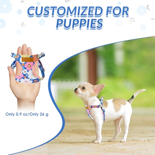No Pull Dog Harness with Leash for Small Medium Dogs Bule XS (X-Small(6-11lb) / Blue Flower)