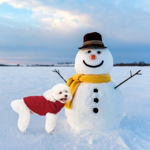 Turtleneck Dog Sweater (X-Small / Red)