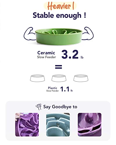 Ceramic Slow Feeder Dog Bowls Elevated for Small and Medium Breed (Clover Green+Stand / M-1.5 Cups)