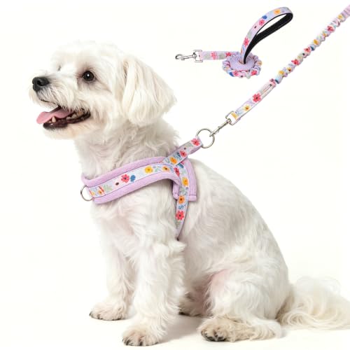 Small Dog Harness and Leash Set (Dark Purple / S: Chest 17.5"-22")
