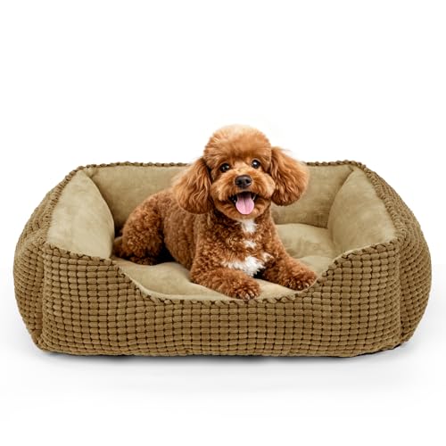 Rectangle Washable Orthopedic Dog Bed for Small (Dark Brown / S(20’’x 19’’x 6’’))