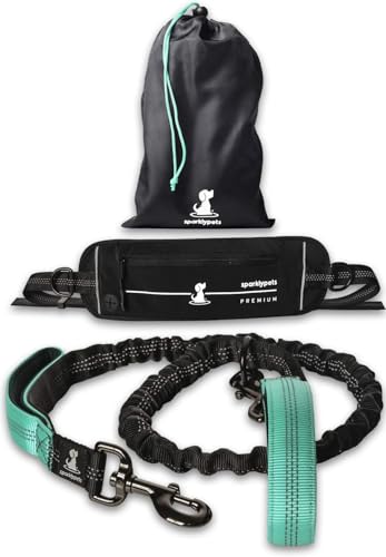 Hands Free Dog Leash (Premium Teal / 1 dog M/L)