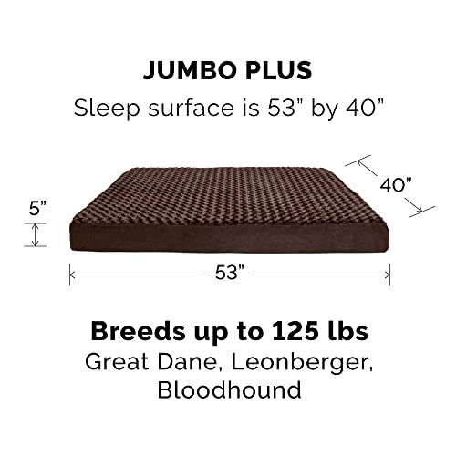 Orthopedic Dog Bed for Large Dogs w (Jumbo Plus / Minky Chocolate)