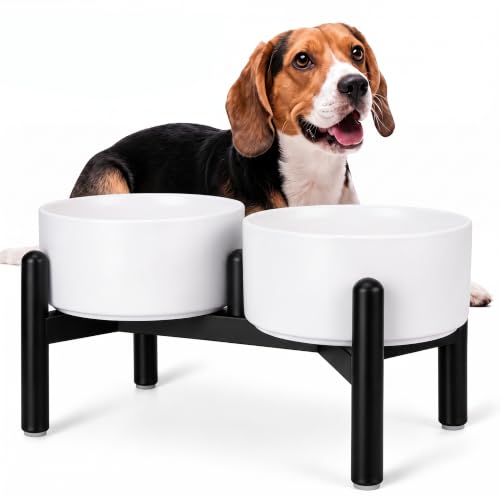 Raised Ceramic Dog Bowl Set with Stand (White / 2 Bowls - 3.5 Cups Each)