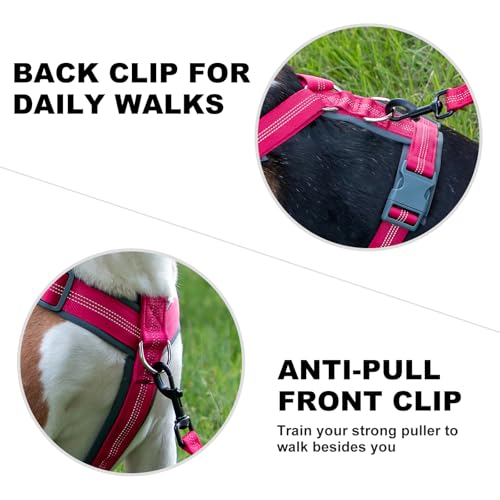 No Pull Dog Harness (M / Hot Pink)