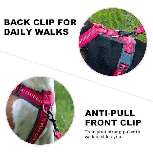 No Pull Dog Harness (S / Hot Pink)