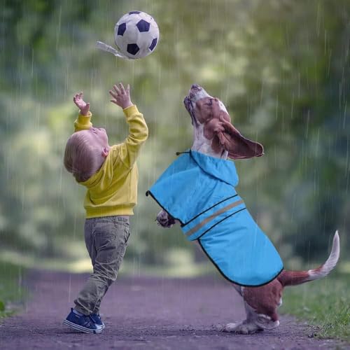 Dog Raincoat Reflective Waterproof Hooded Pet Rain Jacket (Blue / XX-Large)