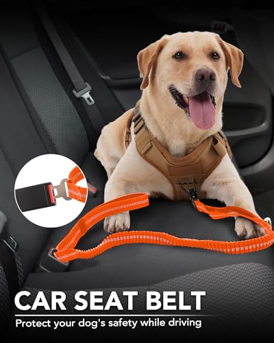 Tactical Bungee Dog Leash (Orange)