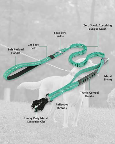 Tactical Bungee Dog Leash (Teal)