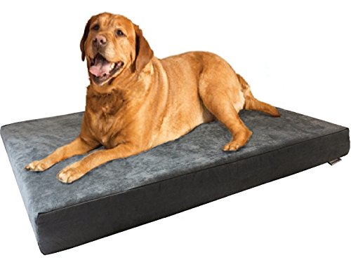 Waterproof Orthopedic Cooling Memory Dog Bed for Large and Extra Large Dogs (JUMBO 55" Length X 47" Width / Microsuede in Gray)
