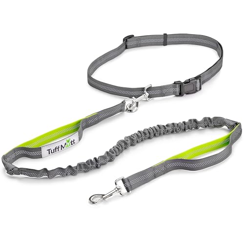 Waist Hands Free Dog Leash for Walking Running Hiking (green/gray)