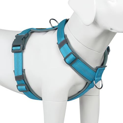 No Pull Dog Harness (L / Cyan)