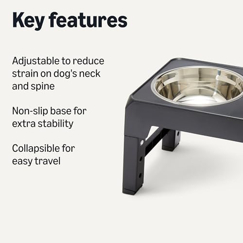 Elevated Dog Bowls Stand