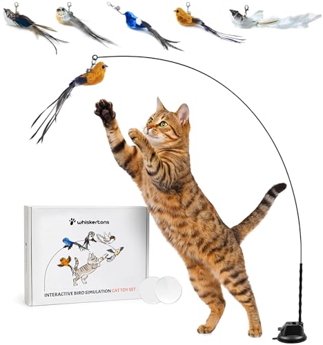 Interactive Bird Simulation Cat Toy Set (Bird Toy Set with 5 Birds)