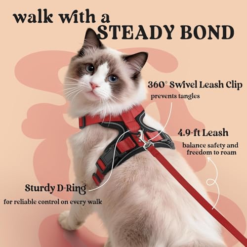 Cat Harness and Leash Set (M / Black & Red)