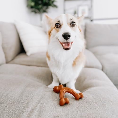 Power Chew Easy (Small / Wishbone)