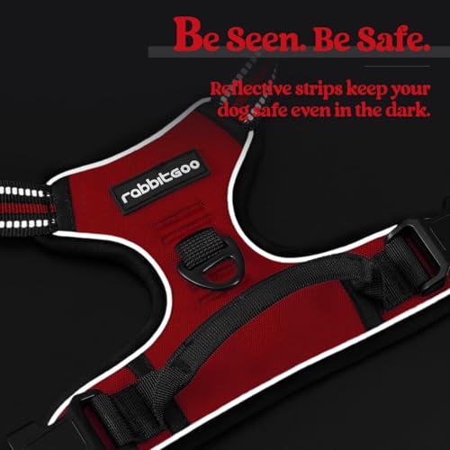 Dog Harness No Pull for Large Dogs with 2 Leash Clips (Large / Red)
