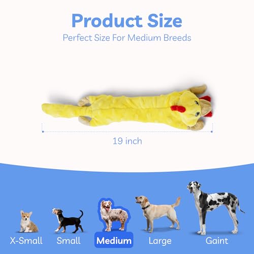 Dog Squeaky Toys Pack (Medium / Bubble Plush-Chicken)