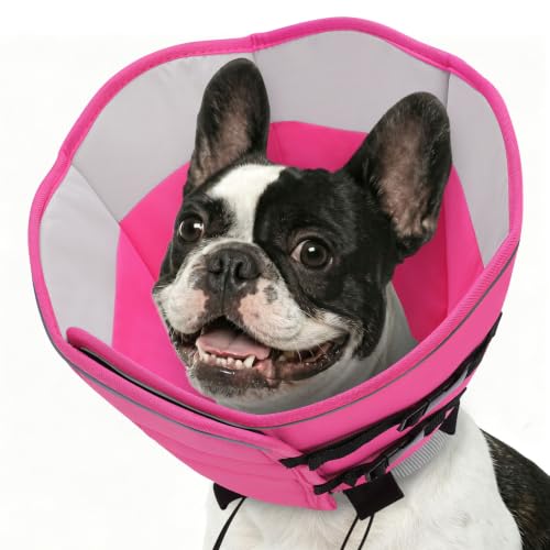 Dog Cones for Medium Dogs (Pink / Medium)