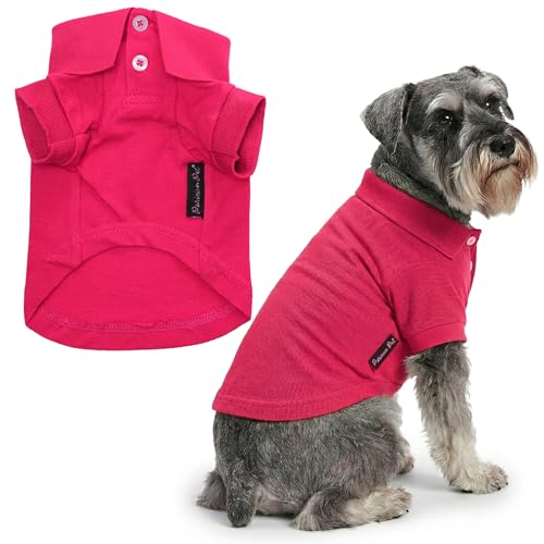 Dog Polo Shirt (2XL / Pink Polo)