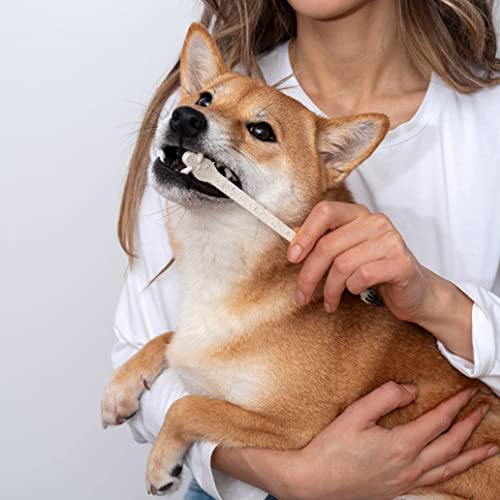 Eco Friendly Pet Toothbrushes