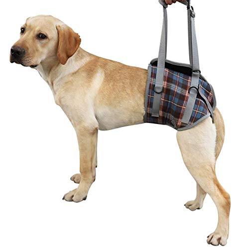 Dog Lift Harness (Small / Hind Legs-Blue)
