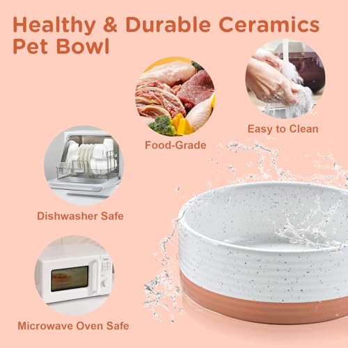 Elevated Dog Bowls Ceramic (5.1 in - 1.7 cups / Pattern White)
