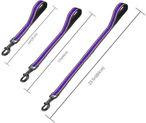 Short Dog Leash (Wide-Purple)