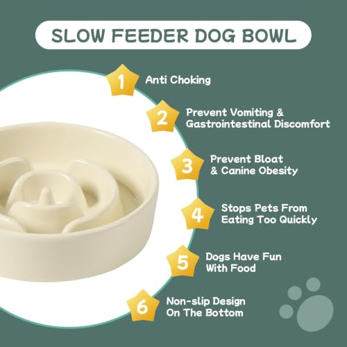 Elevated Slow Feeder Dog Bowls (Light Yellow)