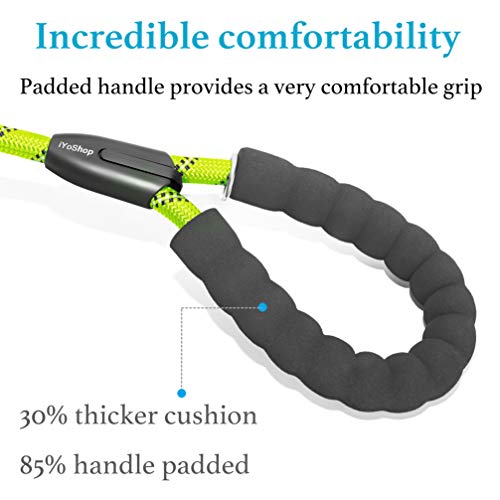 Double Dog Leash (Green / Large)