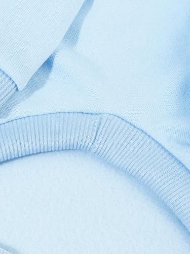 Basic Dog Hoodie Sweatshirt Puppy Sweater Warm Cat Costumes Pet Clothes for Chihuahua Puppy Kitten Small Medium Dogs Light Blue XX (XX-Small / Light Blue)