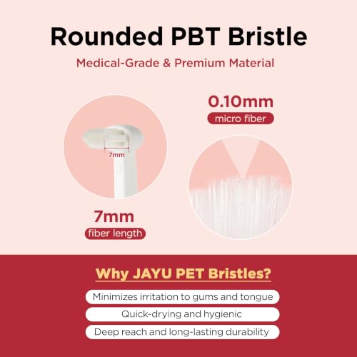 Dental Care Brush Soft Bristles 3ea (Soft Bristles / 1 Count (Pack of 3))