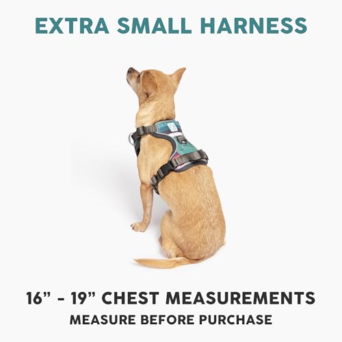 Embark No Pull Dog Harness (XS / Baja)