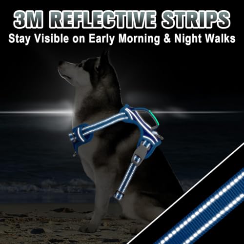 Dog Harness for Medium Sized Dog No Pull Dog Vest ID Tag Pocket (Sapphire Blue & Blue / Medium)