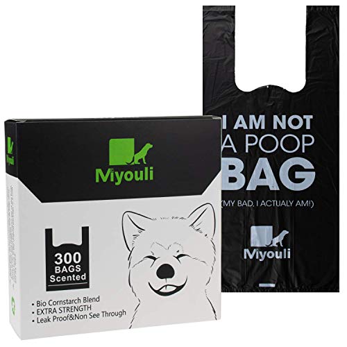300 Counts Extra Thick Dog Poop Bags With Handles (300 Count (Pack of 1))