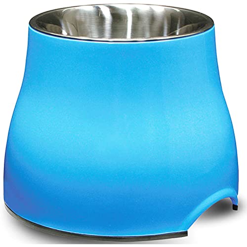 Elevated Dog Bowl (Large / Blue)