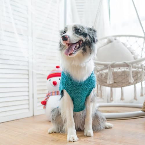 Turtleneck Dog Sweater (Medium / Lake Blue)