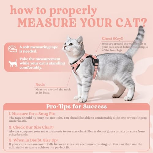 Cat Harness and Leash Set (S / Light Salmon Pink)
